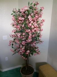 Another silk tree $25
