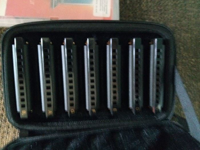7 pack Hohner  harmonica set with case $30
