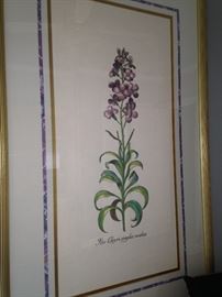 One of three framed botanicals