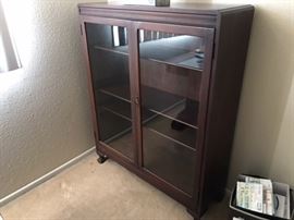 Vintage Mahogany Enclosed Bookcase