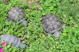Concrete Turtles (2 matching are concrete)