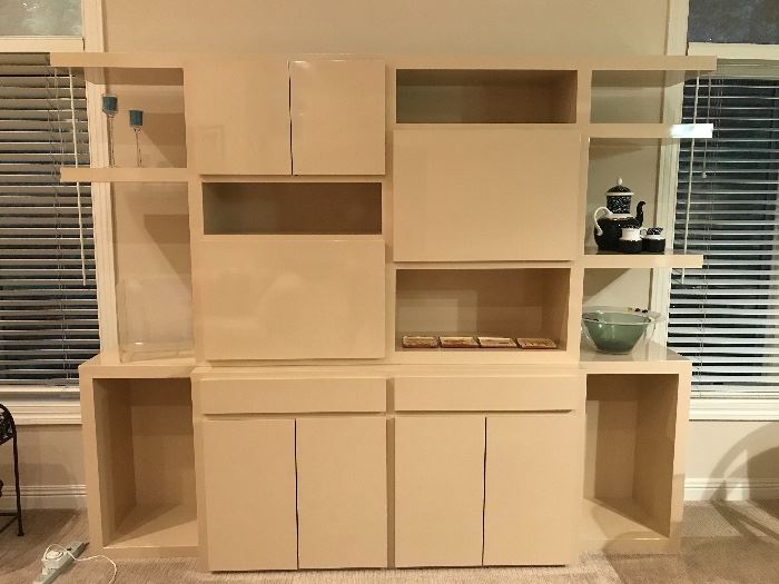 Contemporary wall unit with great storage 