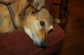 Bungie took all these pictures!