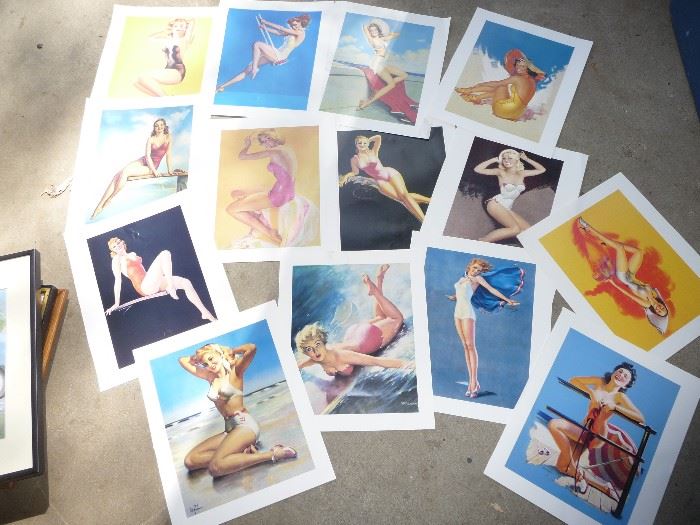 assorted pinup girls