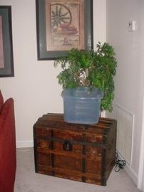 Old trunk, tree and more
