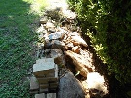 Petrified wood & rocks