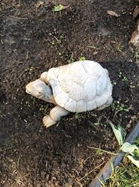  Family Heritage Estate Sales, LLC. New Jersey Estate Sales/ Pennsylvania Estate Sales. 