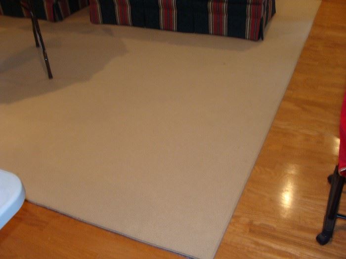 12 ft. X 14 ft. Bound Sisal carpet rug with pad