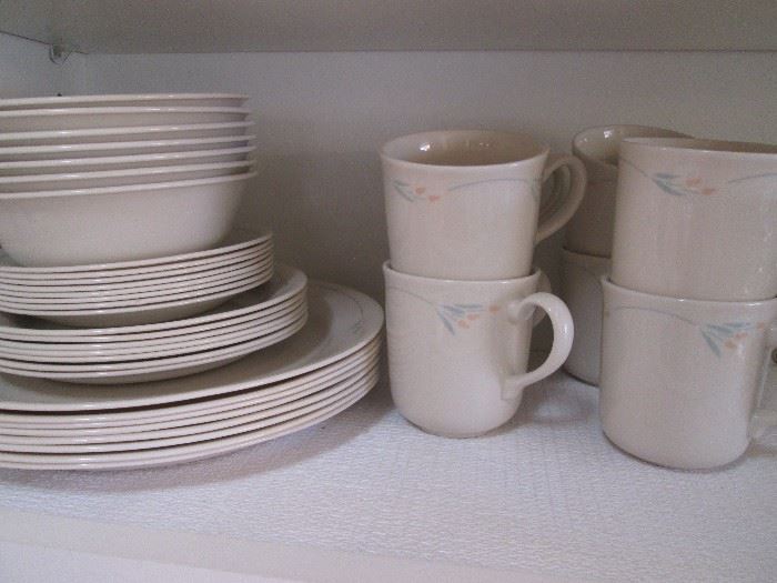 Dish Set
