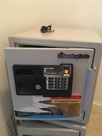 Sentry Safe with fingerprint technology