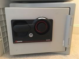 Sentry Safe
