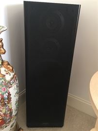 Pioneer Speakers