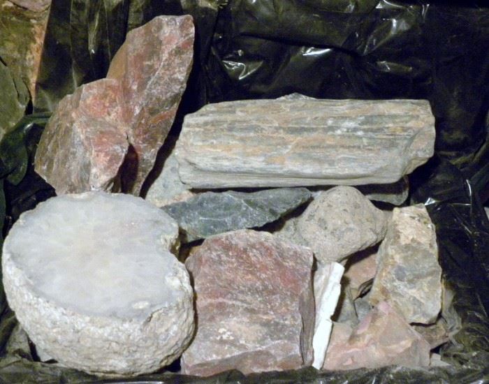 Large Rock & Mineral Collection