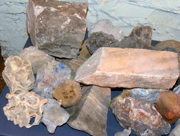 Large assortment if many types of Rocks & Fossils