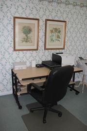 Computer Work Desk and Chair with Pair of Floral Prints