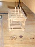 Cricket Cage