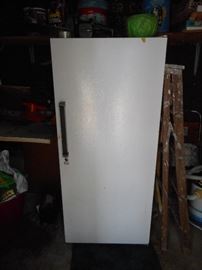Upright Freezer