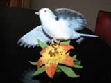 Lenox Sculptured Garden Bird Collection