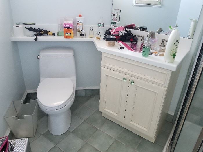 Nice vanity and toilet
