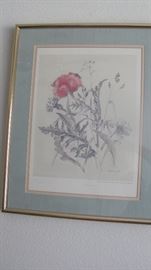 "Poppys" Authentic reproduction. Lithograph. 218/450. 1980.