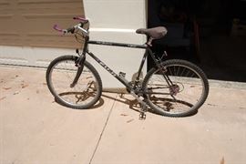 FUJI -25TH ANNIVERSARY BIKE