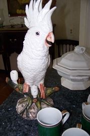 Italian bird