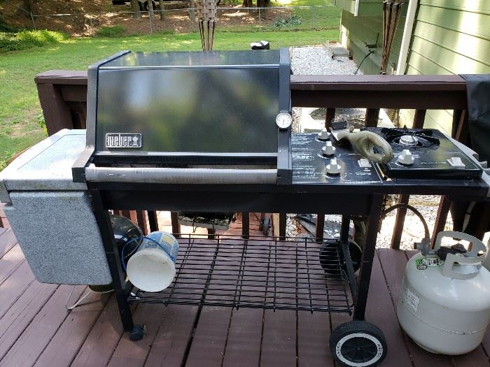 Weber Grill