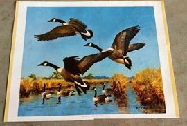 Richard Bishop Water Fowl Prints, Signed
