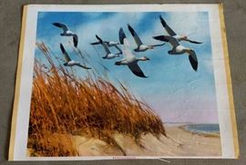 Richard Bishop Water Fowl Prints, Signed