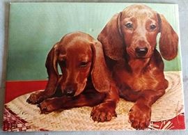 Daschund Poster