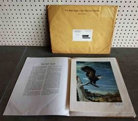 "The Bald Eagle" By Bob HInes