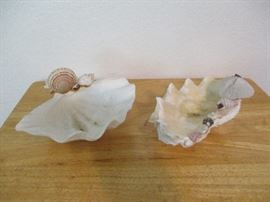 SEA SHELLS