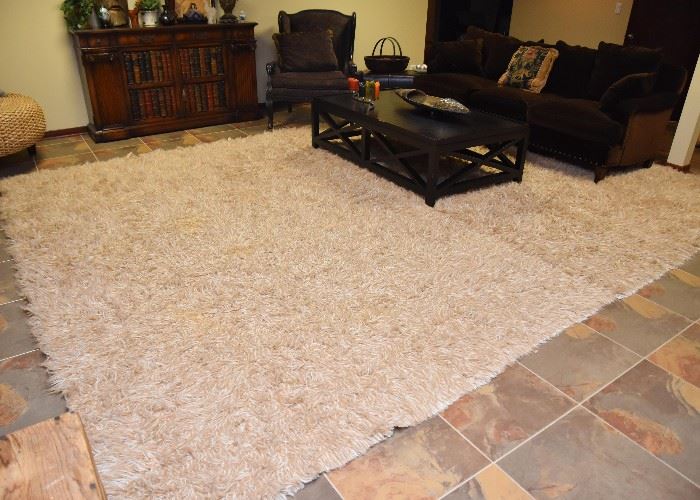 BUY IT NOW! $400 - Contemporary Shag Area Rug (approx. 15' x 11'6")