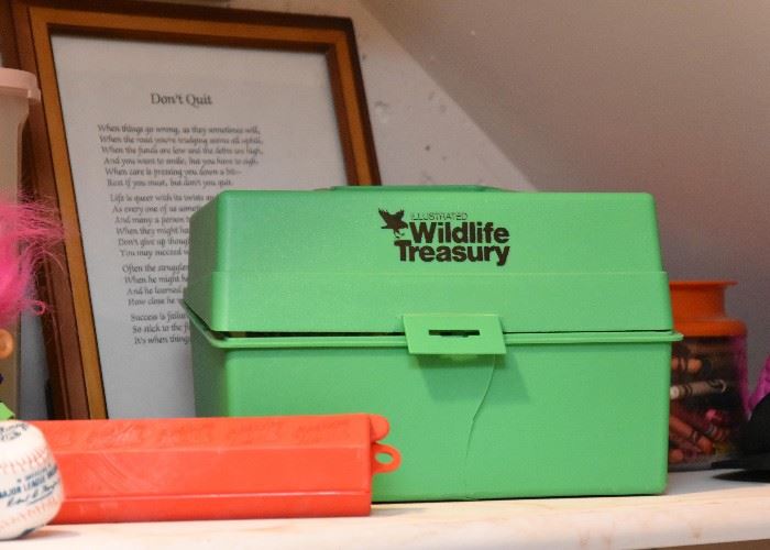 Children's Wildlife Treasury Set