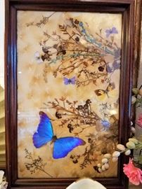 Framed butterfly 