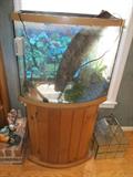 Aquarium and Stand