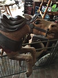 122 Carosol Horse