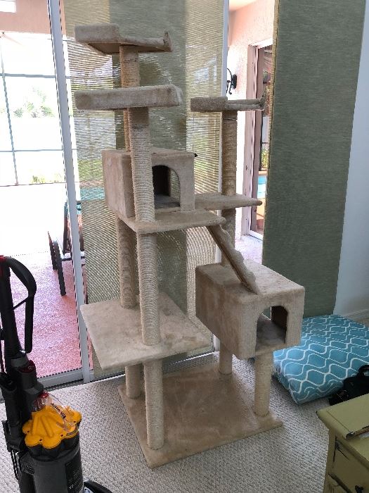 Need a cat house ??