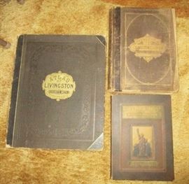 Livingston County Historical books