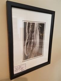 Framed photography. Many to choose from. Yosemite national park. Vintage. 