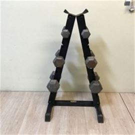 BodySolid Dumbbell Stand wDumbbells