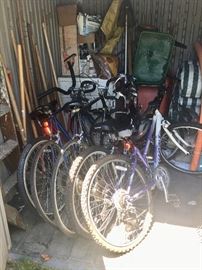 Shed with bikes 