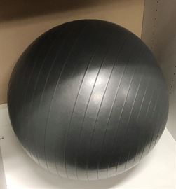 Workout Ball