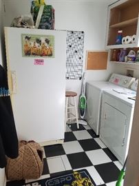 LARGE CAPACITY UPRIGHT FREEZER W/ KEY AND WASHER AND DRYER.