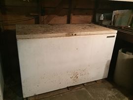 Large Chest Freezers