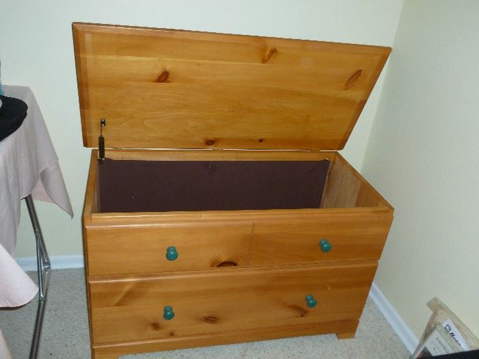 Cute stenciled toy box