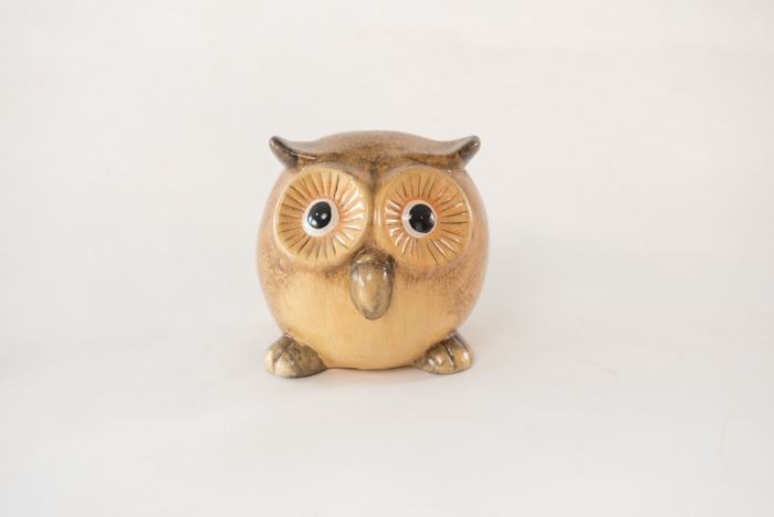 Owl Figure 