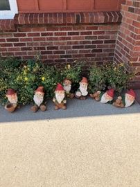 Assortment Of Garden Gnomes