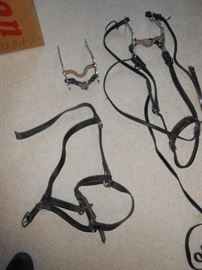 Bridles