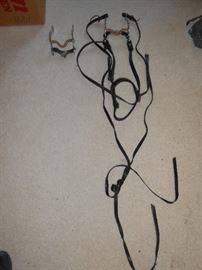 Bridle